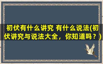 初伏有什么讲究 有什么说法(初伏讲究与说法大全，你知道吗？)